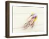 Blured Action of Cyclist Competing on the Velodrome-Chris Trotman-Framed Photographic Print