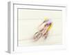 Blured Action of Cyclist Competing on the Velodrome-Chris Trotman-Framed Photographic Print