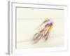 Blured Action of Cyclist Competing on the Velodrome-Chris Trotman-Framed Photographic Print