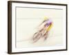 Blured Action of Cyclist Competing on the Velodrome-Chris Trotman-Framed Photographic Print