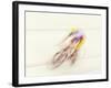 Blured Action of Cyclist Competing on the Velodrome-Chris Trotman-Framed Photographic Print