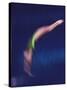 Blured Action of Female Diver-null-Stretched Canvas