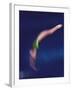 Blured Action of Female Diver-null-Framed Photographic Print