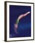 Blured Action of Female Diver-null-Framed Photographic Print