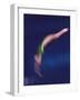Blured Action of Female Diver-null-Framed Photographic Print
