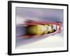 Blurred Action of 4 Man Bobsled Team, Lillehammer, Norway-null-Framed Photographic Print