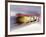 Blurred Action of 4 Man Bobsled Team, Lillehammer, Norway-null-Framed Photographic Print