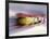 Blurred Action of 4 Man Bobsled Team, Lillehammer, Norway-null-Framed Photographic Print