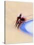 Blurred Action of Cyclist Competing on the Track-Chris Trotman-Stretched Canvas