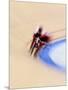 Blurred Action of Cyclist Competing on the Track-Chris Trotman-Mounted Photographic Print