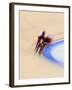 Blurred Action of Cyclist Competing on the Track-Chris Trotman-Framed Photographic Print