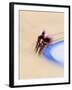 Blurred Action of Cyclist Competing on the Track-Chris Trotman-Framed Photographic Print