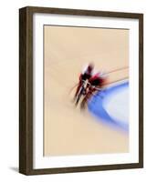 Blurred Action of Cyclist Competing on the Track-Chris Trotman-Framed Photographic Print