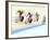 Blurred Action of Cyclist on the Track-Chris Trotman-Framed Photographic Print