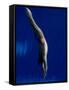 Blurred Action of Male Diver in the Air-null-Framed Stretched Canvas