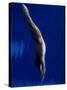 Blurred Action of Male Diver in the Air-null-Stretched Canvas