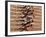 Blurred Action of Male Runners Starting a 100 Meter Sprint Race-Paul Sutton-Framed Photographic Print