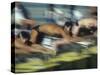 Blurred Action of Male Swimmers at the Start of a Race-null-Stretched Canvas