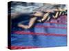 Blurred Action of Male Swimmers at the Start of a Race-null-Stretched Canvas