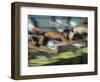 Blurred Action of Male Swimmers at the Start of a Race-null-Framed Photographic Print