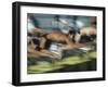 Blurred Action of Male Swimmers at the Start of a Race-null-Framed Photographic Print