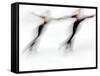 Blurred Action of Pairs Figure Skaters, Torino, Italy-Chris Trotman-Framed Stretched Canvas