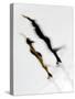 Blurred Action of Pairs Figure Skaters, Torino, Italy-Chris Trotman-Stretched Canvas