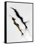 Blurred Action of Pairs Figure Skaters, Torino, Italy-Chris Trotman-Framed Stretched Canvas