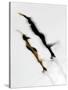 Blurred Action of Pairs Figure Skaters, Torino, Italy-Chris Trotman-Stretched Canvas