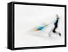 Blurred Action of Pairs Figure Skaters, Torino, Italy-Chris Trotman-Framed Stretched Canvas