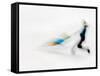 Blurred Action of Pairs Figure Skaters, Torino, Italy-Chris Trotman-Framed Stretched Canvas