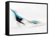 Blurred Action of Pairs Figure Skaters, Torino, Italy-Chris Trotman-Framed Stretched Canvas