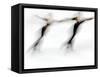 Blurred Action of Pairs Figure Skaters, Torino, Italy-Chris Trotman-Framed Stretched Canvas