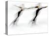 Blurred Action of Pairs Figure Skaters, Torino, Italy-Chris Trotman-Stretched Canvas