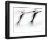 Blurred Action of Pairs Figure Skaters, Torino, Italy-Chris Trotman-Framed Photographic Print