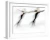 Blurred Action of Pairs Figure Skaters, Torino, Italy-Chris Trotman-Framed Photographic Print