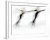 Blurred Action of Pairs Figure Skaters, Torino, Italy-Chris Trotman-Framed Photographic Print