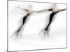 Blurred Action of Pairs Figure Skaters, Torino, Italy-Chris Trotman-Mounted Photographic Print