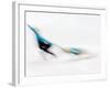 Blurred Action of Pairs Figure Skaters, Torino, Italy-Chris Trotman-Framed Photographic Print