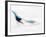 Blurred Action of Pairs Figure Skaters, Torino, Italy-Chris Trotman-Framed Photographic Print