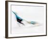 Blurred Action of Pairs Figure Skaters, Torino, Italy-Chris Trotman-Framed Photographic Print