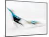 Blurred Action of Pairs Figure Skaters, Torino, Italy-Chris Trotman-Mounted Photographic Print