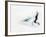 Blurred Action of Pairs Figure Skaters, Torino, Italy-Chris Trotman-Framed Photographic Print