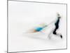 Blurred Action of Pairs Figure Skaters, Torino, Italy-Chris Trotman-Mounted Photographic Print