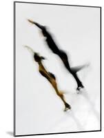 Blurred Action of Pairs Figure Skaters, Torino, Italy-Chris Trotman-Mounted Photographic Print