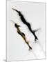 Blurred Action of Pairs Figure Skaters, Torino, Italy-Chris Trotman-Mounted Photographic Print