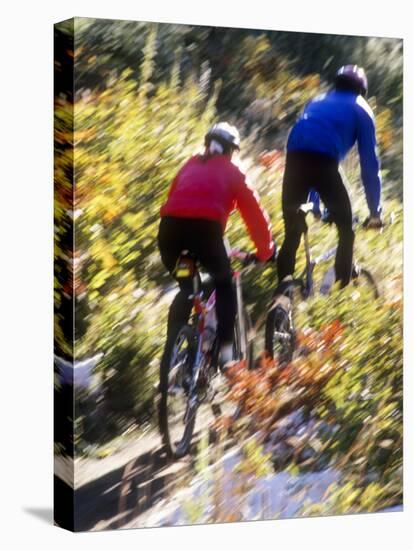 Blurred Action of Recreational Mountain Biker Riding on the Trails-null-Stretched Canvas