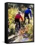 Blurred Action of Recreational Mountain Biker Riding on the Trails-null-Framed Stretched Canvas