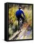 Blurred Action of Recreational Mountain Biker Riding on the Trails-null-Framed Stretched Canvas