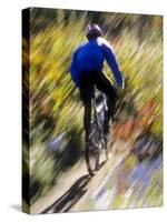 Blurred Action of Recreational Mountain Biker Riding on the Trails-null-Stretched Canvas